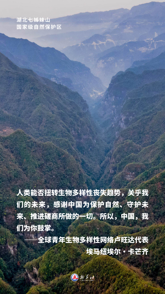 海报 | 中国特色生物多样性保护之路受多方称赞