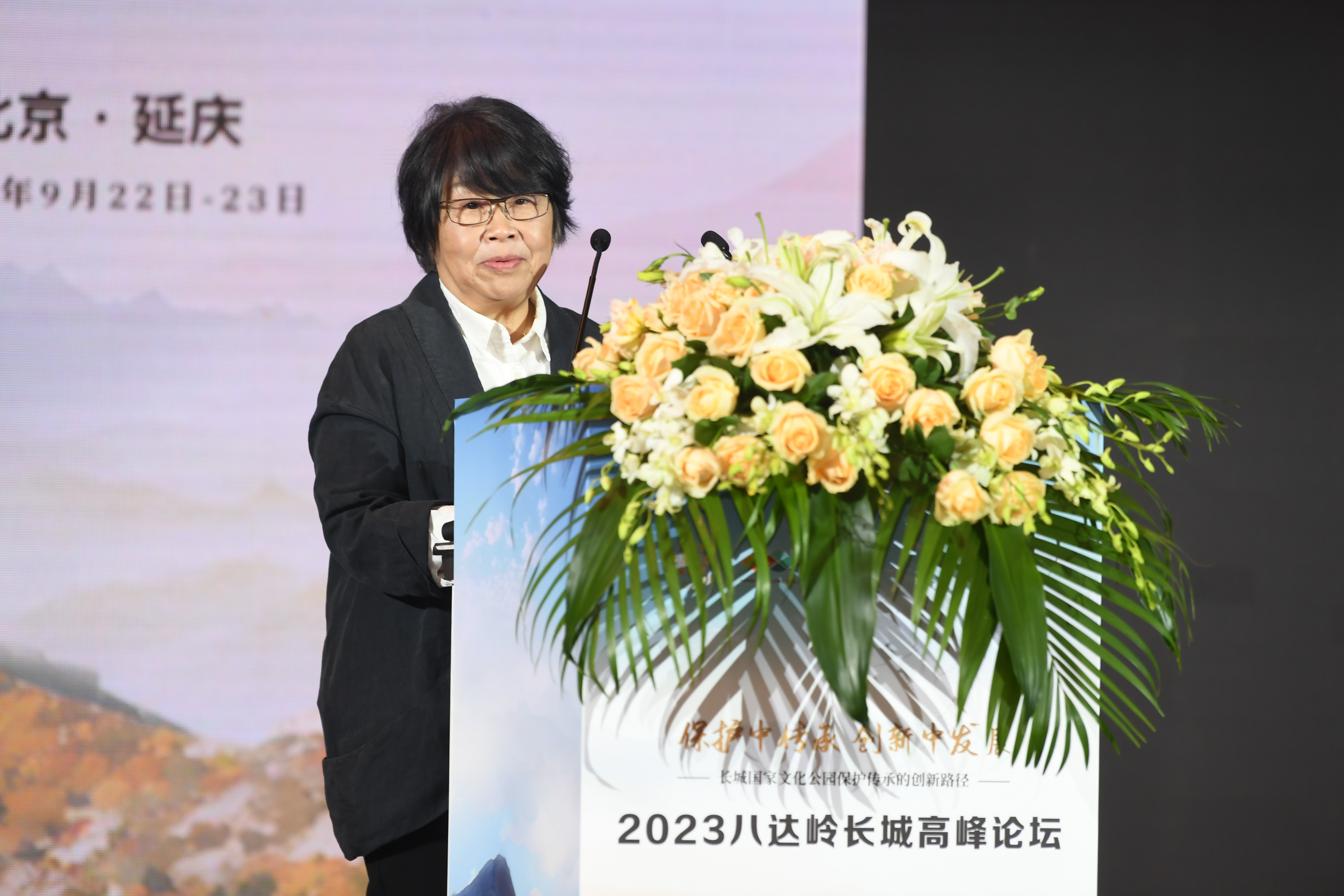 大学建筑遗产研究院常务副院长,北京长城文化研究院常务副院长汤羽扬