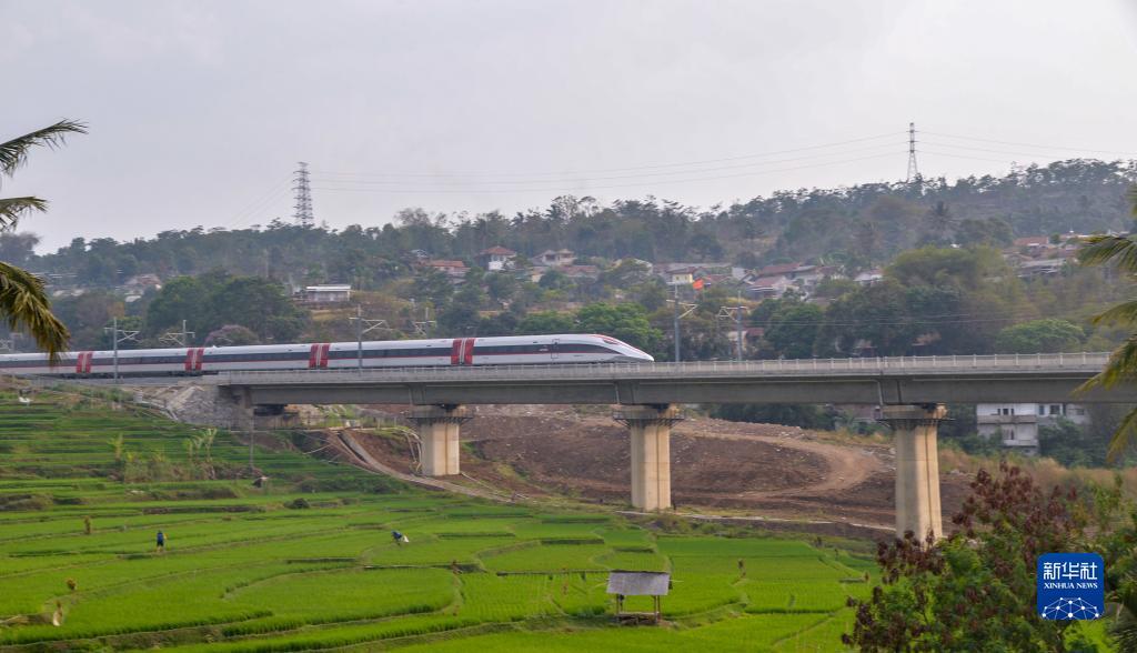 特稿：中印尼共建“一带一路”合作的“金字招牌”——记习近平主席关心推动的雅万高铁正式开通运营