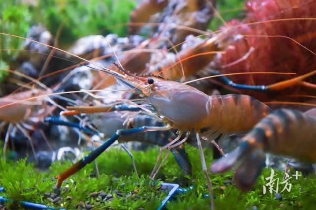 政策 - 中国双创 - 中国双创