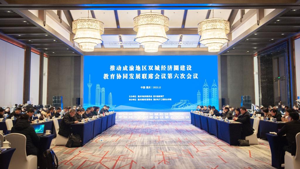 成渝地区双城经济圈建设教育协同发展工作联席会议第六次会议顺利举行。重庆市教委 供图