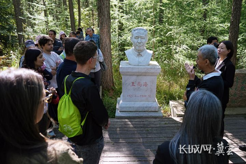 外国专家看河北丨"塞罕坝机械林场是一个奇迹"